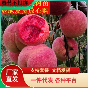 һ�����l�Ҙ����޽ӹ������Ե����ϱ����Nֲ����Y���ش������