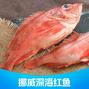 Ų���M�ڼt�~�����~���������t�~�r����i�r��tĿ�~���rˮ�a