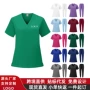 医护短袖男女牙科医护服