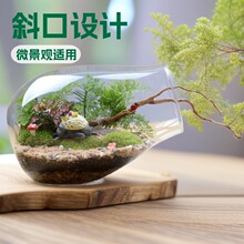 玻璃瓶批发 苔藓微景观玻璃生态瓶 斜口玻璃瓶景观 大炮筒玻璃瓶