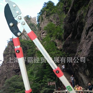 ̨��ԭ�a���r��������n����1101TW��֦����֦���n�Դ�֦����֦��