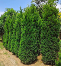 һ�����l�ļ���Ĺ���� ��Ĺ�����ɘ����ɰ؂Ȱؙu�ذؘ���u����