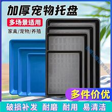 ����\���бP�ӼS��P�L���μӺ�����؈�����B�u���\������̖��©