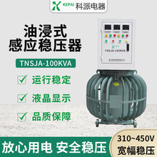 ���������h���x���������������Б�ʽ�ͽ�ʽTNSJA-150KVA 300KVA