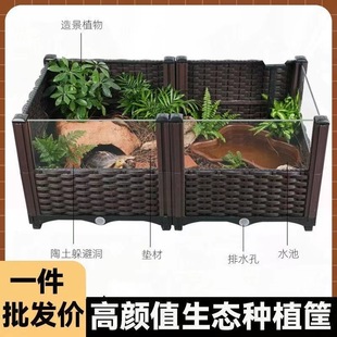 Pet Supplies Pet Smart Equipment Feeding Turtle Hamster Rutin Chicken Breeding Box
