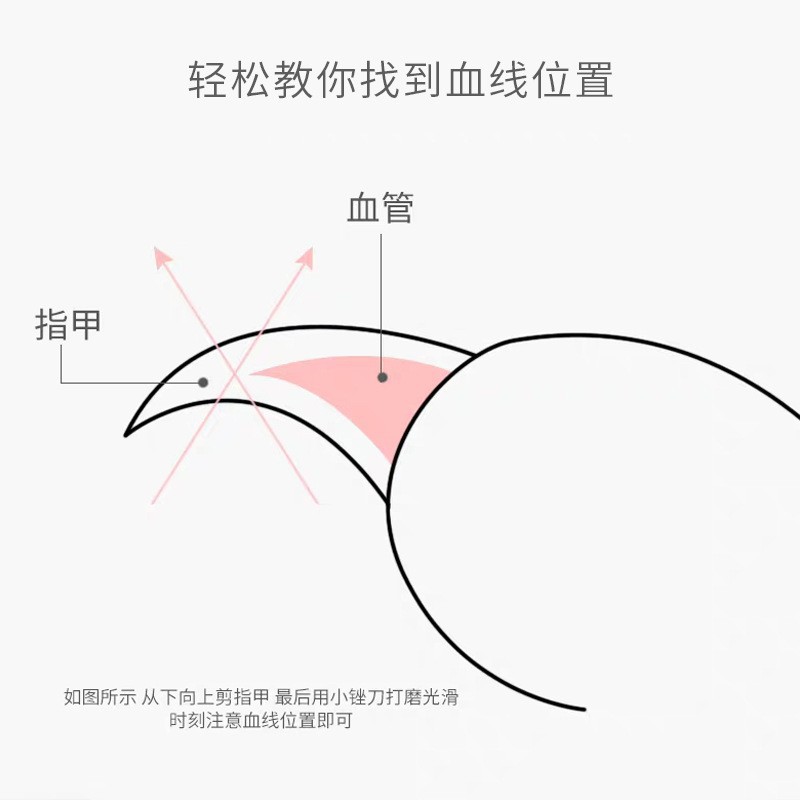 Cortauñas de gato cortaúñas antiarañazos especiales cortaúñas garra de gato conejo mascota perro suministros