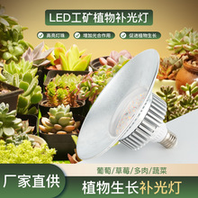 ȫ���Vֲ���a������L���҃Ȼ������������Ҷ������ֲ���