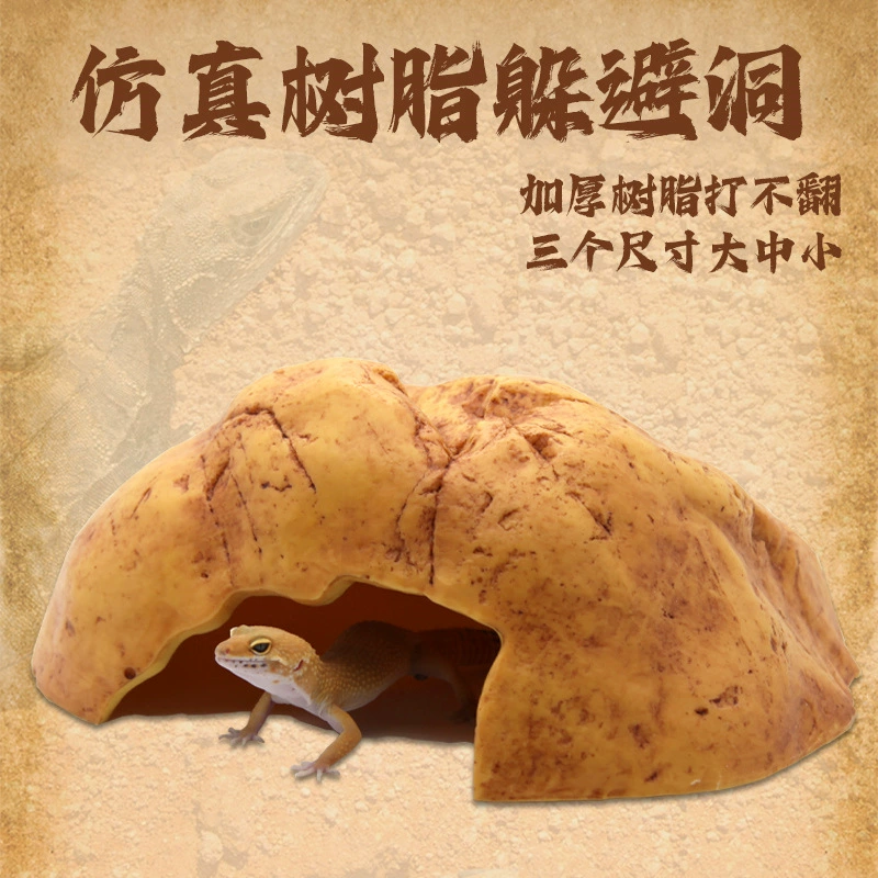 Конструкция лазания, чтобы избежать змеи, хранителя, ящерицы, пауки, пещеры желтого воска, скалы, ландшафты