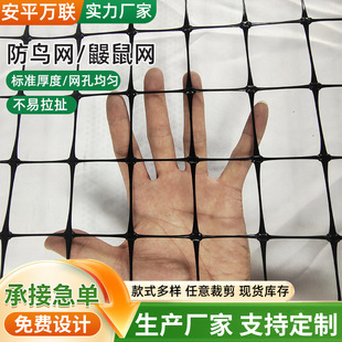 �S���B�u�������B�W5�׌�����ϩ���@�����Bֳ�~��͸���O�W