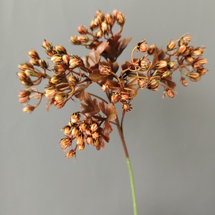 �����֦ʯ�����˼�����W�ҾӘӰ��g�Ͱɲ廨�b� ��c�zӰ�{��