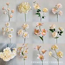 ��Y���滨����õ���ֻ�����ָл����{�߻��ĵ��Ų廨���洹����