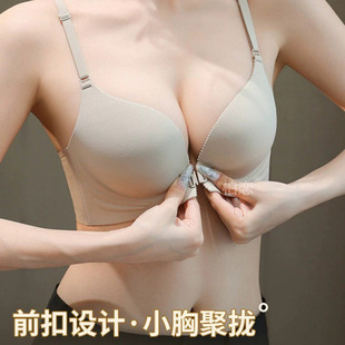 2025ǰ�ۃ���ŮʿС�ؾ۔n���s�o�Ȧ���������ֹ������l