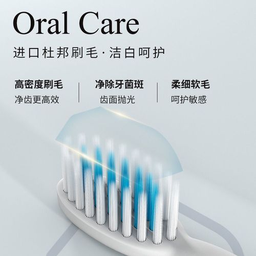 Electric toothbrush wholesale adult sonic automatic soft-bristle rechargeable five-speed waterproof whitening couple toothbrush head