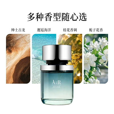 Large Capacity, Adjustable Scent, Car Perfume Aromatherapy