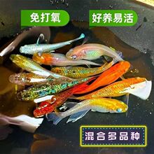 �����~�B�����ͻ������^�p�~���~�^�����F�~С����ˮ��ˮ�YƷ���b