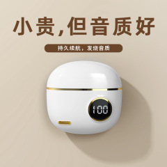 官方正品2025新款无线蓝牙耳机半入耳式降噪高音质复古数显长续航