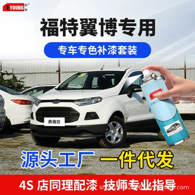 Ford EcoSport Elegant White Touch-Up Paint Pen, Phantom Gray, Mood Blue, Car Paint Scratch Repair, Shiny Silver, Starfire Red