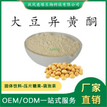 大豆异黄酮20%40%80%  大豆提取物 扶风慈缘生物 工厂直销 大豆粉