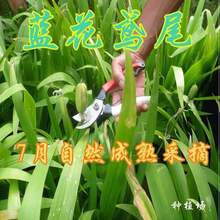 ͥԺ�e�����@ֲ���{���Sβ�����Ժ����m�R�m����ݱ����ܶ�����