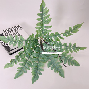 ާݲ˹ݾG~GŲݷGֲֲֲʲ