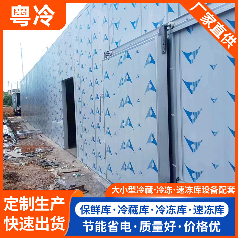 非标快速降温商超冷库 食品厂速冻保鲜库冷冻库 广东冷库厂家