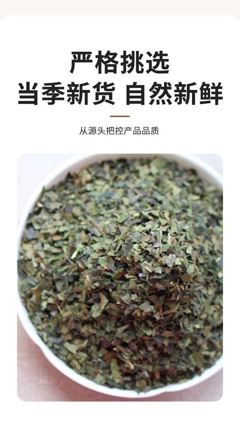 Persimmon Leaf Tea Shi Ye Cha 4g x 30 Bags 120g Daily Herbal Wellness Tea in use