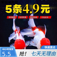 ���~���w��ˮ�~С���ͻ�С�~��̩�{�^�p�~��ˮ�����^�p�~�m���\��