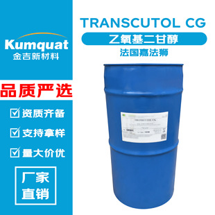 �����η��{ TRANSCUTOL CG ���������ʴ� ���ش� ��ͪ ���ܝB͸��