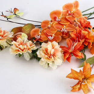 ���滨��ϵ�������ɫ����diy����ٻ��ɻ��r�����b�Y�����l