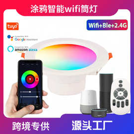 涂鸦WIFI遥控智能筒灯涂鸦Zigbee筒灯RGBCW全彩AlexaGoogle语音