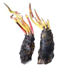 ˯ɏ~˯ɏKļˮֲͥԺС˯ɏ