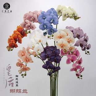 ���Sֱ�N �ʺ�����m7�^�L֦�ٻ������^�z�ָз��滨�Ҿӻ�c�b�