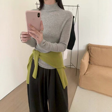 2025秋款女装上新韩系百搭弹力细羊毛修身半高领打底毛衣99930