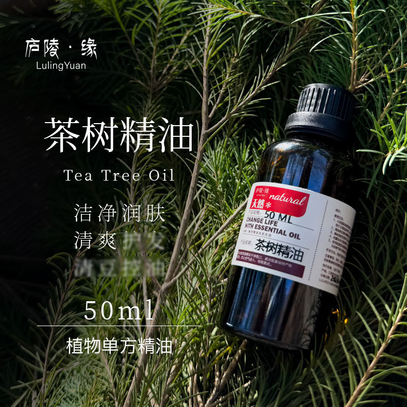 Australian Tea Tree Essential Oil No Blending Tea Tree Single Leaf Melaleuca Melaleuca Melaleuca in Large Quantity Welcome to Take Sample Australian Tea Tree Essential Oil No Blending Tea Tree Single Leaf Melaleuca Melaleuca Melaleuca in Large Quantity Welcome to Take Sample