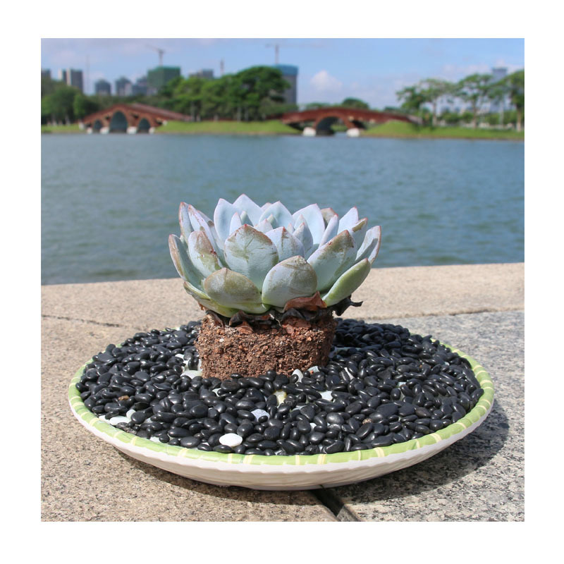 2-3cm껨ʯ | ͹澫Ʒ쾰ʯ ͥԺˮװζʯ