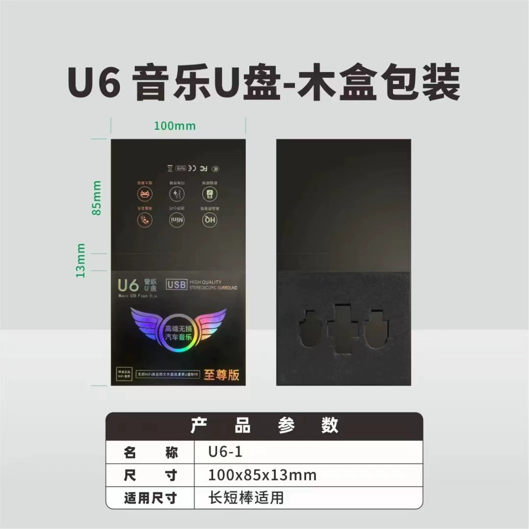 Music small capacious USB flash drive, new collection, 64G