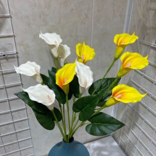 �羳���Qpu�R��ɏ���滨 5�^��̖���������ָл���c�ҾӾGֲ�ٻ�