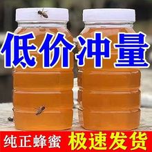 ������������Ȼ���r�Ԯa��Ұ��ԭ�۽Y�����]������������500gƿ