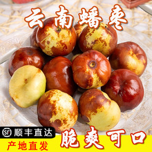 󴗗rˮ35ﮔڴţǴ󗗶Y