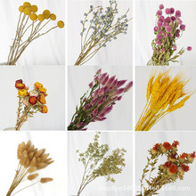 云南干花花束真花尤加利黄金球满天星玫瑰ins家居装饰客厅DIY花材