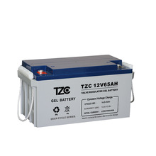 TZC12V65AHU늳12V·ԴUPSEPS݆ƿ