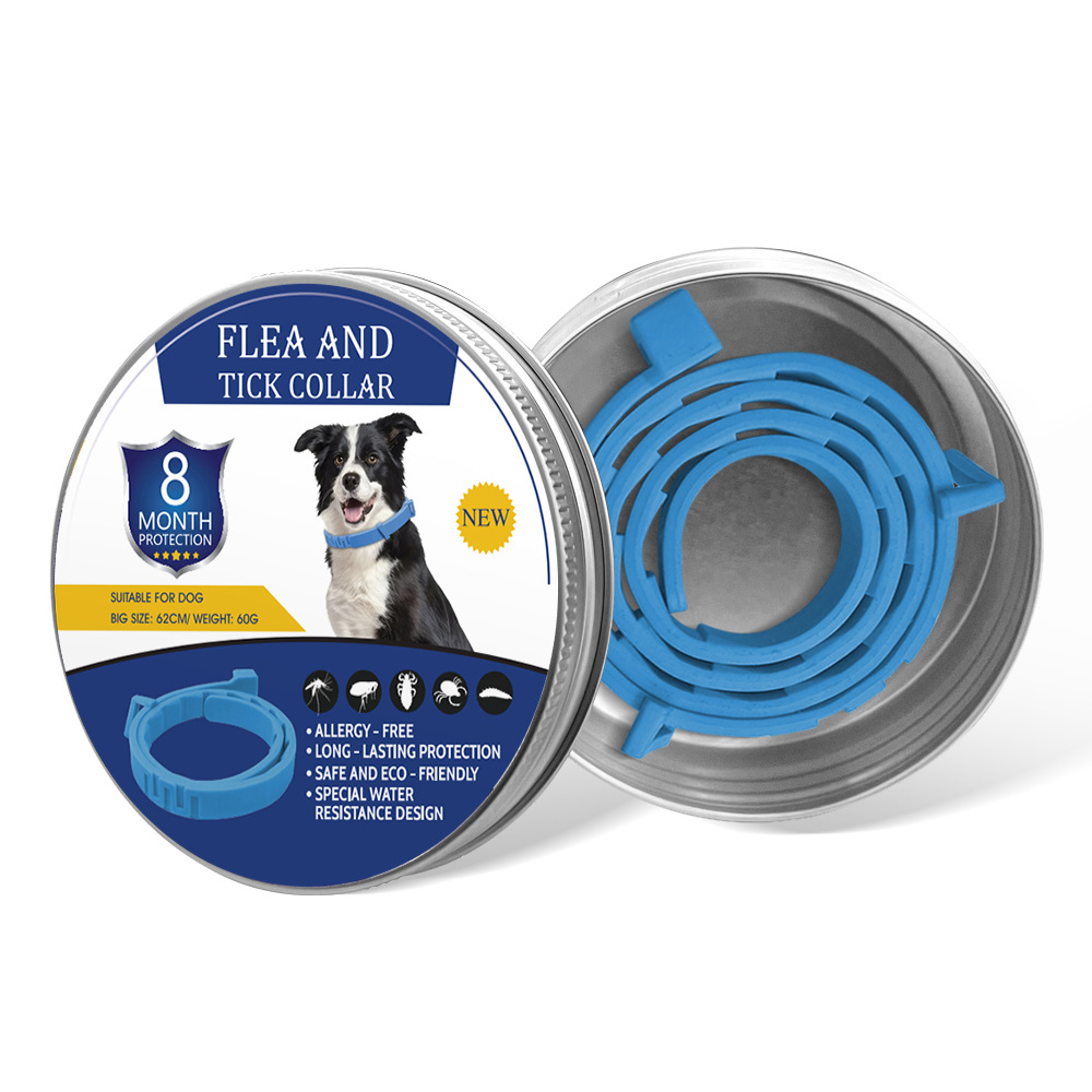 파란색 강아지 디자인 선물 세트