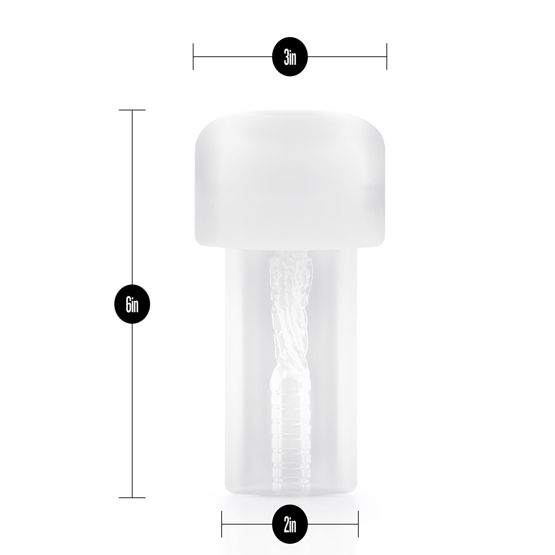 Transparent endinum (8) .jpg
