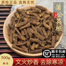 蒲公英根500g蒲公英根红茶新鲜蒲公英非野生整根干货炒熟可搭菊苣