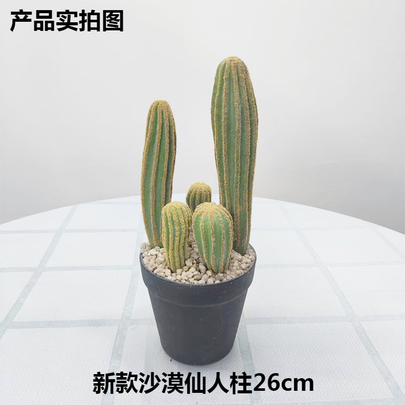 Simulación nórdica Planta verde Pilar de hadas Cactus grande piso interior sala de estar ropa tienda decoración de ventana