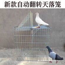 �¿�����\�Ԅӷ��D���D���ӻ\��\���P�Ӵּ���ײ�T�����B�\