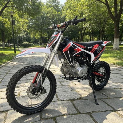 Reinforced Frame Double-Beam Two-Wheel Motosikletlər