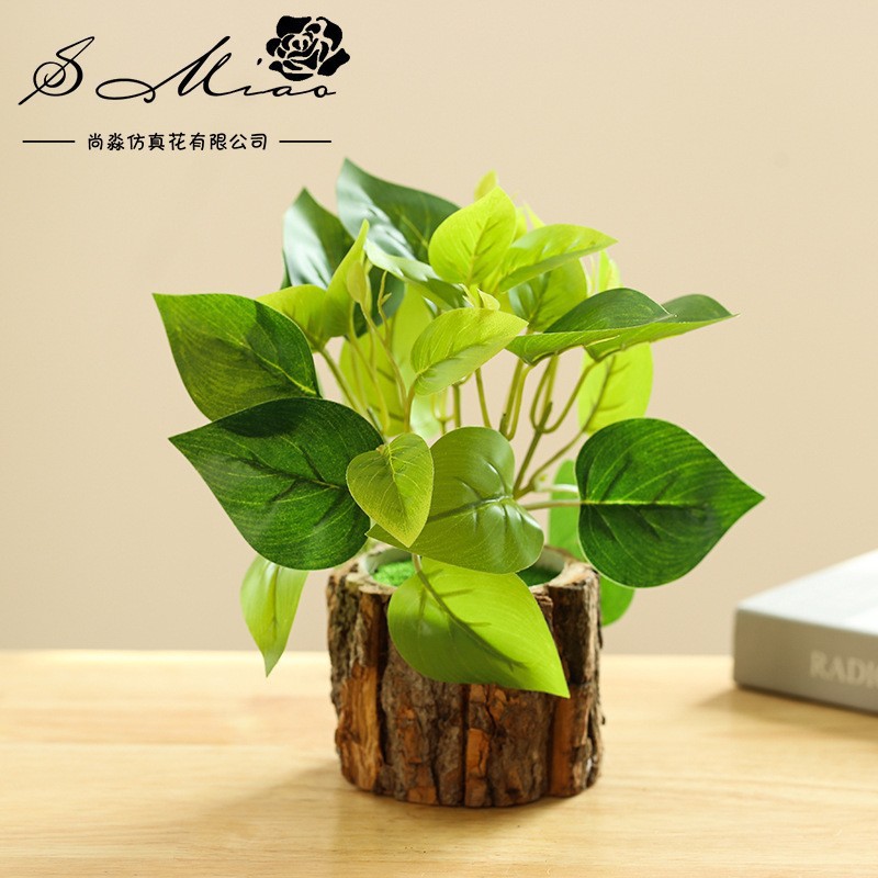 50143 maceta de corteza verde plantación bonsai ☆