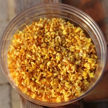 天堂漓江冻干无硫金桂花茶桂花干新货脱水桂花厂家一手货批发商用