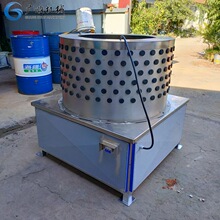 ţ���^��Óë�C   ��ë��ë�O�����a�S��   �S�ҹ����AͲ��Óë�C